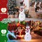 Kitcheniva Lighted Snowman & Birds With 170 LED Outdoor Christmas Decoration